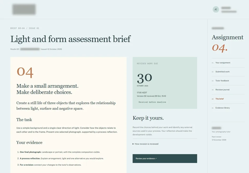 Light and form assessment brief — identifying labels masked