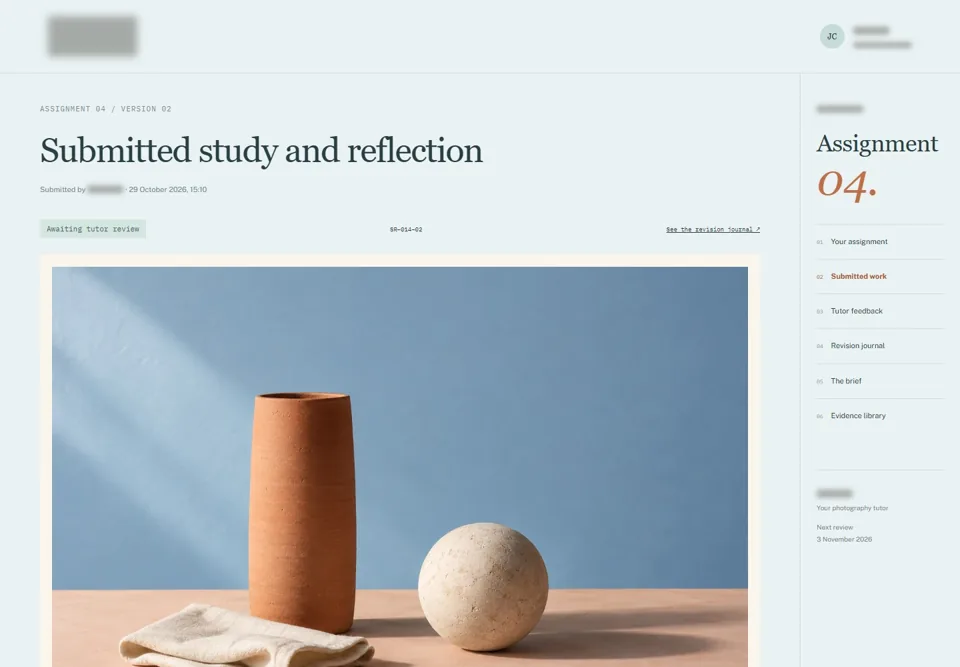 Submitted study and reflection — identifying labels masked