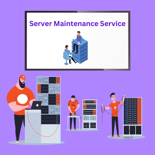 Server maintenance service